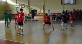 Fotka nr 0 z 17