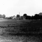 rok 1966
