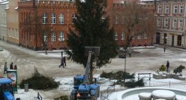 zdjęcie nr 8