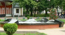 zdjęcie nr 7