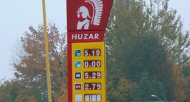zdjęcie nr 7