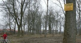 zdjęcie nr 9