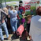 zdjęcie nr 12