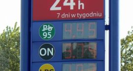 zdjęcie nr 7