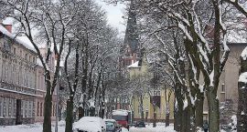 zdjęcie nr 9