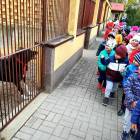 zdjęcie nr 9