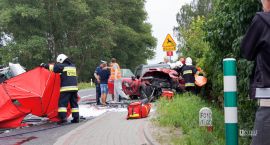 Fotka nr 1 z 8