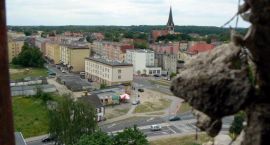 zdjęcie nr 14