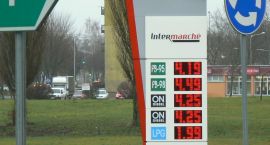 zdjęcie nr 9