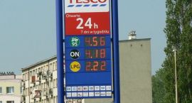 zdjęcie nr 8