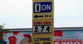 Fotka nr 5 z 9