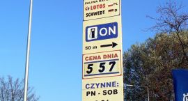 Fotka nr 5 z 8