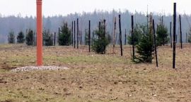Fotka nr 4 z 15