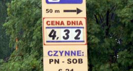 zdjęcie nr 8