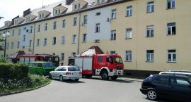 Fotka nr 1 z 3