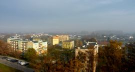 zdjęcie nr 8