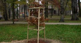 zdjęcie nr 11