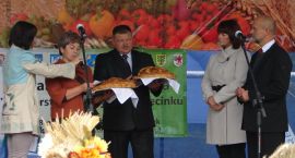zdjęcie nr 9