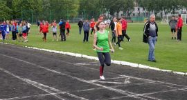zdjęcie nr 12