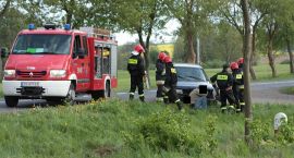 Fotka nr 1 z 8