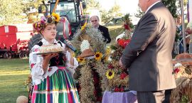 zdjęcie nr 15