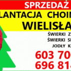 zdjęcie nr 14