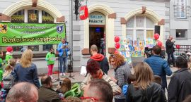zdjęcie nr 13