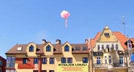 zdjęcie nr 7