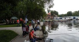 zdjęcie nr 15