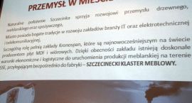 zdjęcie nr 10