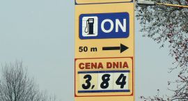 zdjęcie nr 8