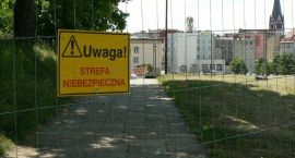 zdjęcie nr 10
