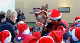 zdjęcie nr 9