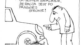 zdjęcie nr 15