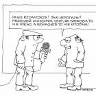 zdjęcie nr 11