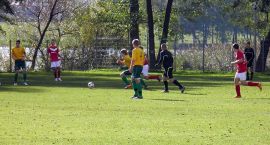 zdjęcie nr 24