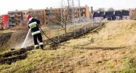 zdjęcie nr 12