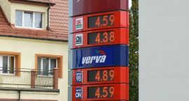 zdjęcie nr 7