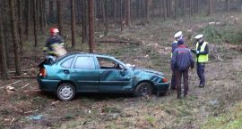 Fotka nr 5 z 7