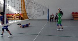 zdjęcie nr 15