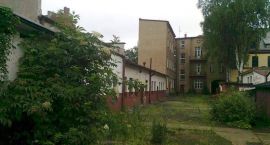 Fotka nr 2 z 4