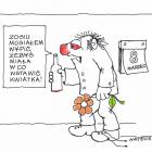 zdjęcie nr 11