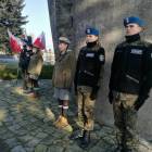 Fotka nr 1 z 3