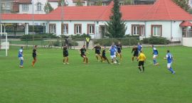 zdjęcie nr 11