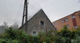 Fotka nr 1 z 6