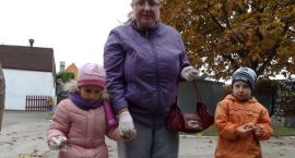 zdjęcie nr 14