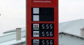 zdjęcie nr 7