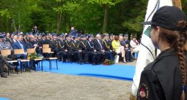 zdjęcie nr 12