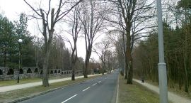 zdjęcie nr 11