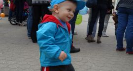 zdjęcie nr 30